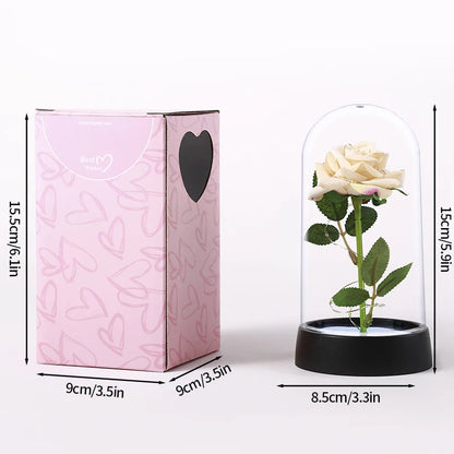 Eternal Rose LED – A Timeless Symbol of Love That Glows